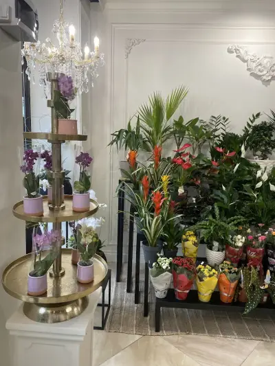 Магазин за цветя FlorAmour Видин - Център