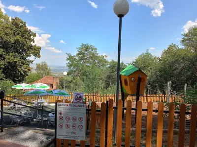 Гъбката