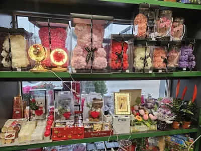 "ФЕНИКС" домашни потреби