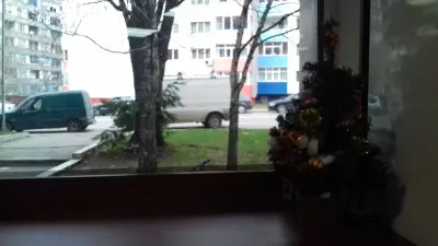 БЪЛГАРСКА РОЗА-СЕВТОПОЛИС