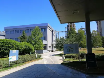 ЗЛАТНА ПАНЕГА БЕТОН