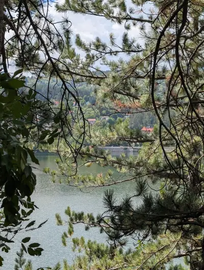 Pancharevo Lake View