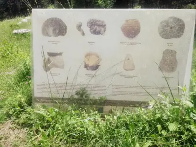 Панорамна площадка "Св. Никола"