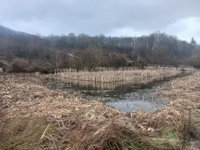 Жабешко блато
