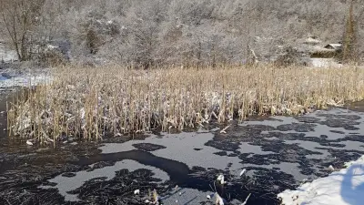 Жабешко блато