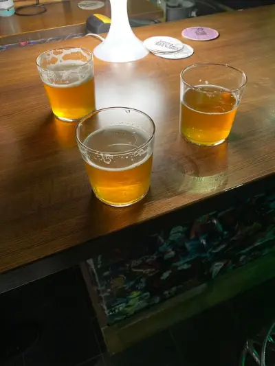 Sofia Electric Brewing