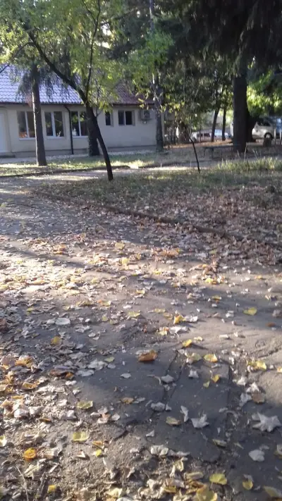 ПРОФЕСИОНАЛНА ГИМННАЗИЯ ПО ЛЕКА ПРОМИШЛЕНОСТ И ТУРИЗЪМ