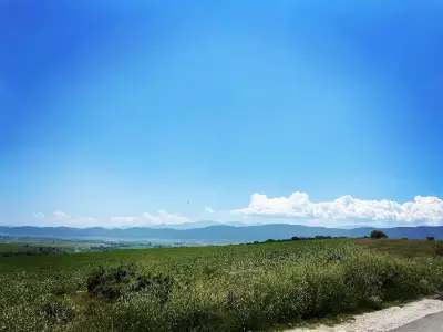 Кметство Веринско