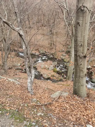 Водопад на река Неволя