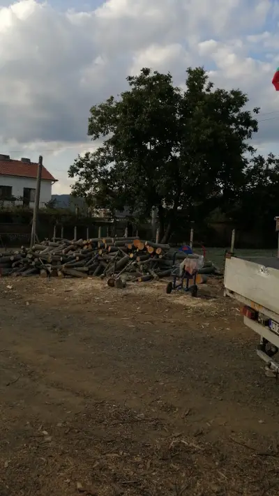 Василев 95 "Дърва За Огрев"