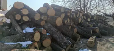 Топливо Долна Липница(Дърва за огрев)