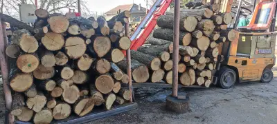 Топливо Долна Липница(Дърва за огрев)