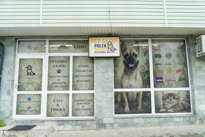 FELIX DOGS - Зоомагазин и Груминг