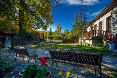 Forest Paradise Hanevtsi
