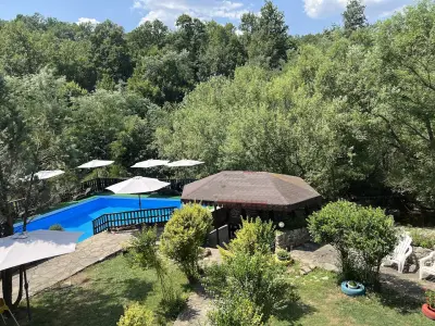 Forest Paradise Hanevtsi