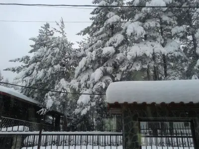 Вилна зона Ярема