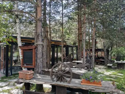 Вилна зона Ярема