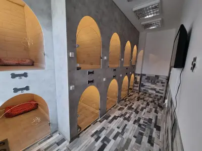 Хотел за малки кучета Cani Felici