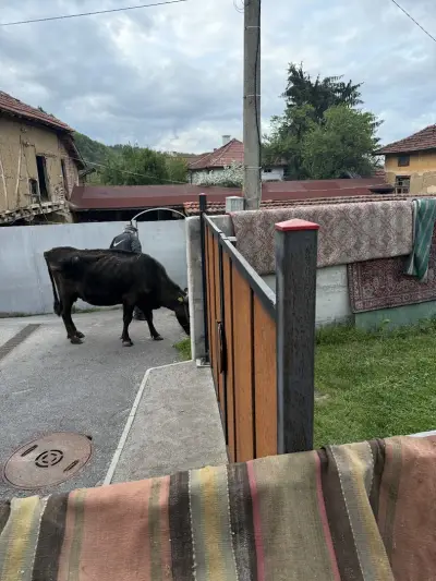 Micro Hotel Raduil