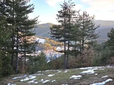 Панорамна Площадка ,,Скалите"