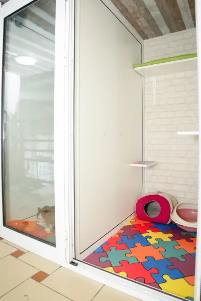 Коткотел- Cat's home