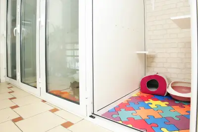 Коткотел- Cat's home