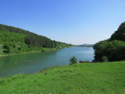 Местност Пчелина