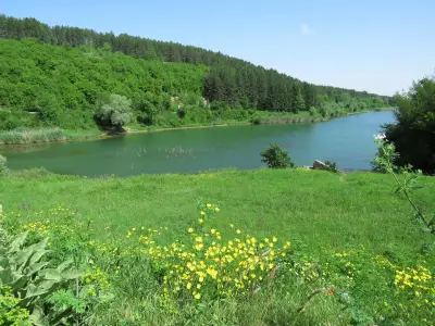 Местност Пчелина