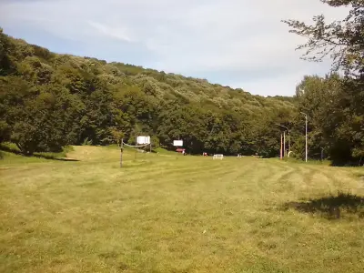 Местност Пчелина