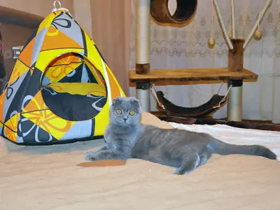 Хотел Хепи