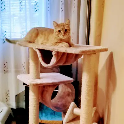 Хотел Хепи