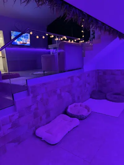 Rozi's Luxury Dog Hotel