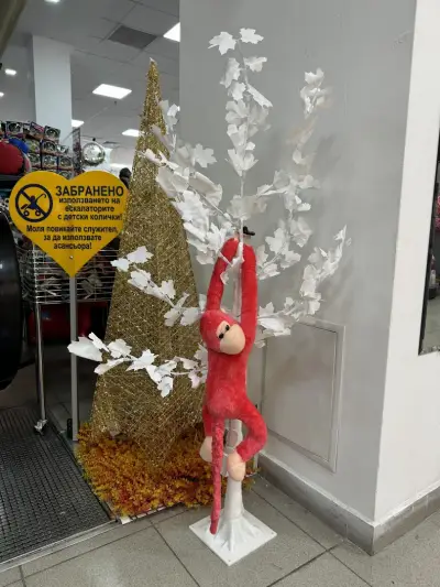 Китайски Мол Доли - Doli China Mall