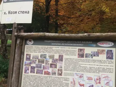 xижа Хайдушка песен