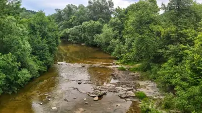 БУНГАЛА ЛЪКИ