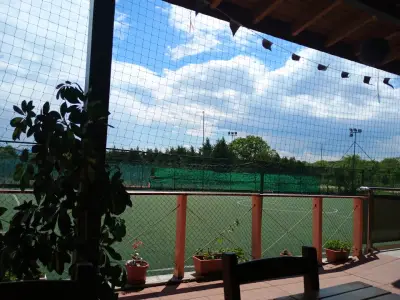 Комплекс Шампион