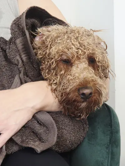 Marlow Grooming Salon