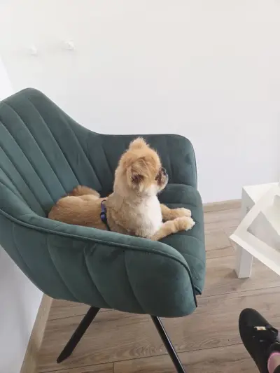 Marlow Grooming Salon
