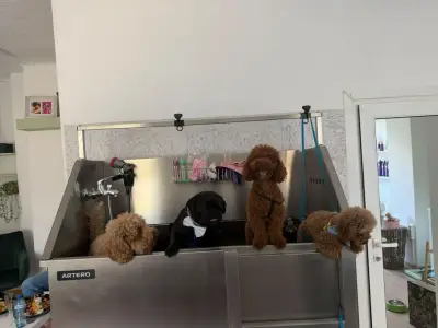 Marlow Grooming Salon