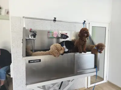 Marlow Grooming Salon