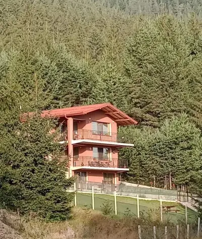 Villa Avantgarde Sarnitsa - Вила Авангард Сърница