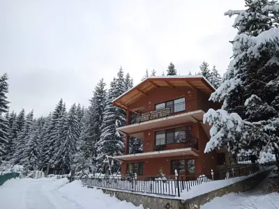 Villa Avantgarde Sarnitsa - Вила Авангард Сърница