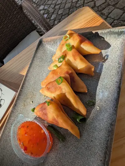 Momo Fusion Dumplings