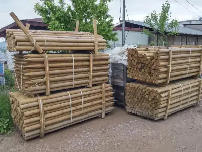 Росима