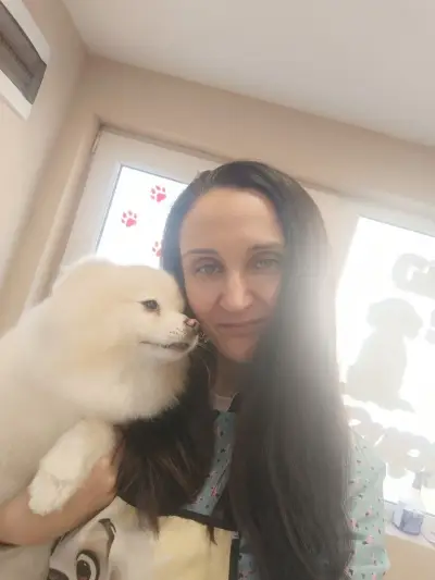 Puppy Style Grooming