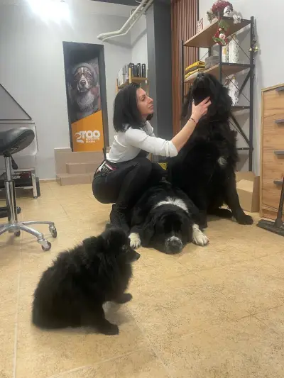 Groo grooming Studio