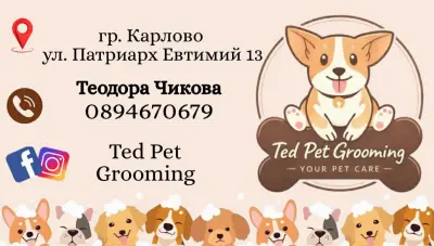 Ted Pet Grooming - гр. Карлово Груминг услуги