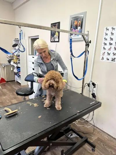 Happy Pet Spa & Grooming