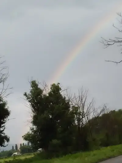 Dikra Metali Trade