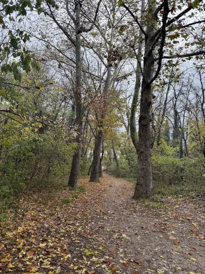 Парк Розариум